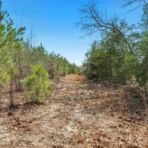 Photo #24 of 931 Charlie Johnson, Kershaw, SC