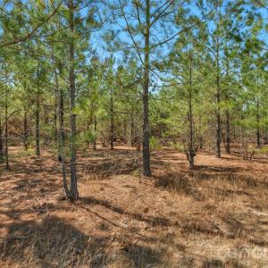 Photo #13 of 931 Charlie Johnson, Kershaw, SC