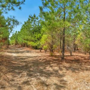 Photo #27 of 931 Charlie Johnson, Kershaw, SC