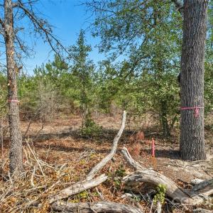 Photo #21 of 931 Charlie Johnson, Kershaw, SC