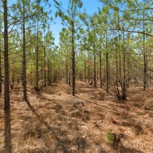 Photo #7 of 931 Charlie Johnson, Kershaw, SC