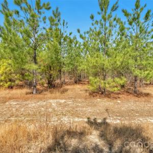 Photo #26 of 931 Charlie Johnson, Kershaw, SC