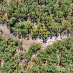 Photo #48 of 931 Charlie Johnson, Kershaw, SC