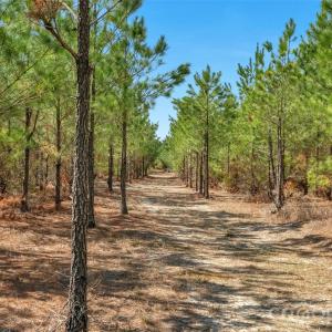 Photo #32 of 931 Charlie Johnson, Kershaw, SC