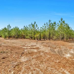 Photo #12 of 931 Charlie Johnson, Kershaw, SC