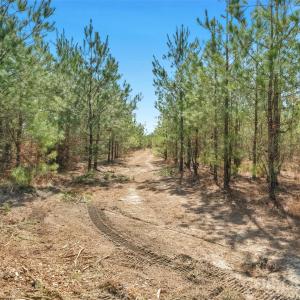 Photo #37 of 931 Charlie Johnson, Kershaw, SC