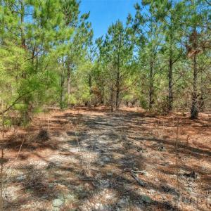 Photo #22 of 931 Charlie Johnson, Kershaw, SC