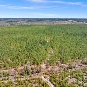 Photo #38 of 931 Charlie Johnson, Kershaw, SC