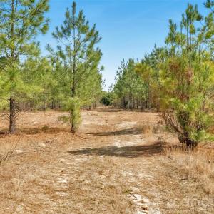 Photo #30 of 931 Charlie Johnson, Kershaw, SC