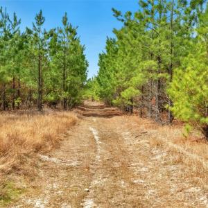 Photo #31 of 931 Charlie Johnson, Kershaw, SC