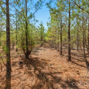 Photo #10 of 931 Charlie Johnson, Kershaw, SC