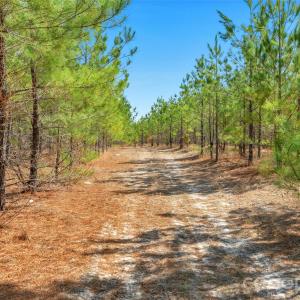 Photo #8 of 931 Charlie Johnson, Kershaw, SC