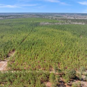 Photo #3 of 931 Charlie Johnson, Kershaw, SC