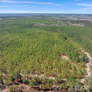 Photo #43 of 931 Charlie Johnson, Kershaw, SC