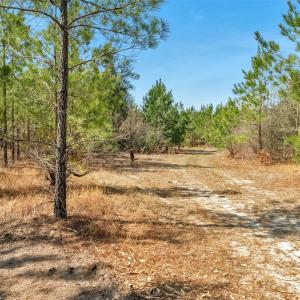 Photo #35 of 931 Charlie Johnson, Kershaw, SC