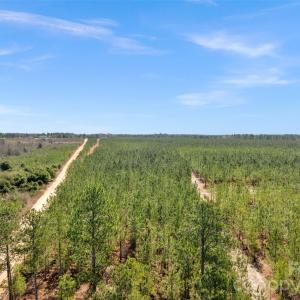 Photo #44 of 931 Charlie Johnson, Kershaw, SC