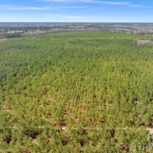 Photo #41 of 931 Charlie Johnson, Kershaw, SC