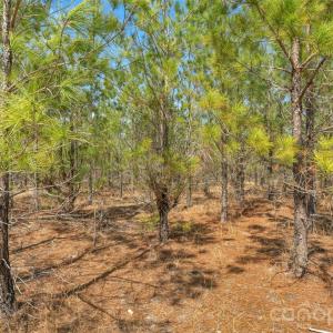 Photo #8 of 931 Charlie Johnson, Kershaw, SC