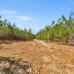 Photo #18 of 931 Charlie Johnson, Kershaw, SC