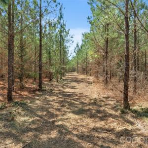 Photo #30 of 931 Charlie Johnson, Kershaw, SC