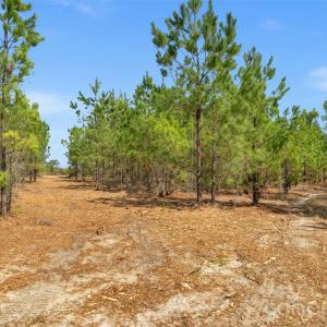 Photo #19 of 931 Charlie Johnson, Kershaw, SC