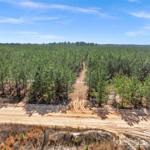 Photo #10 of 931 Charlie Johnson, Kershaw, SC