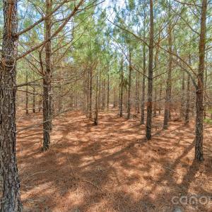 Photo #16 of 931 Charlie Johnson, Kershaw, SC