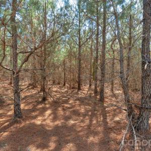 Photo #22 of 931 Charlie Johnson, Kershaw, SC