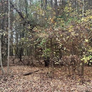 Photo #1 of Lot 5 Lake Wylie, Rock Hill, SC