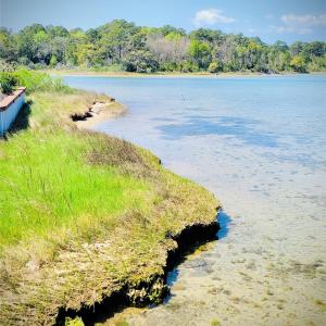 Photo #4 of 211 Fannie Creek, Sneads Ferry, NC