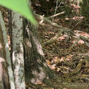 Photo #31 of 18524 Mainsail, Lancaster, SC