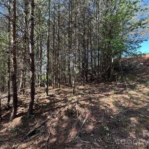 Photo #39 of 18524 Mainsail, Lancaster, SC