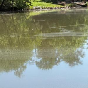 Photo #11 of 18524 Mainsail, Lancaster, SC