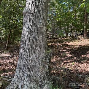 Photo #33 of 18524 Mainsail, Lancaster, SC