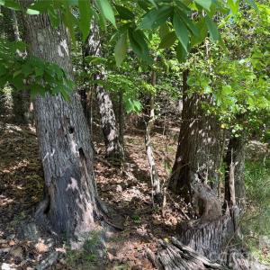 Photo #38 of 18524 Mainsail, Lancaster, SC