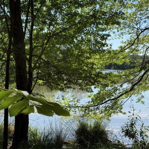 Photo #36 of 18524 Mainsail, Lancaster, SC