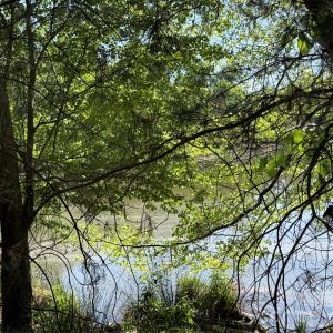 Photo #3 of 18524 Mainsail, Lancaster, SC