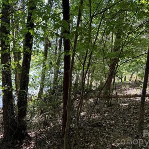 Photo #9 of 18524 Mainsail, Lancaster, SC