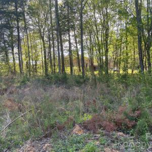 Photo #4 of 4006 Old Salisbury Concord, Kannapolis, NC