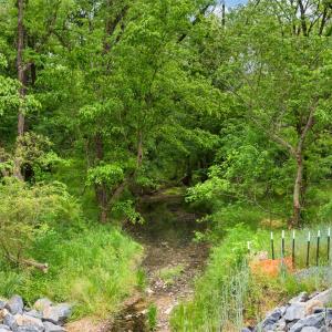 Photo #19 of McIntyre, Wingate, NC