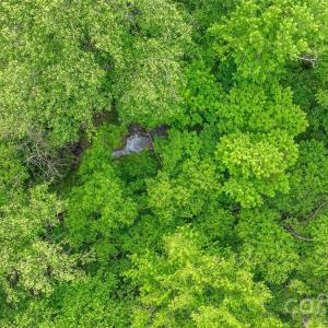 Photo #18 of McIntyre, Wingate, NC