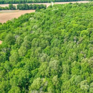 Photo #20 of McIntyre, Wingate, NC