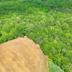 Photo #14 of McIntyre, Wingate, NC