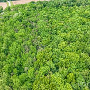 Photo #17 of McIntyre, Wingate, NC