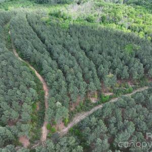 Photo #36 of TBD Horne Town, Polkton, NC