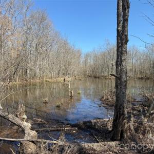 Photo #5 of TBD Horne Town, Polkton, NC