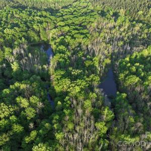 Photo #27 of TBD Horne Town, Polkton, NC