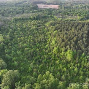 Photo #21 of TBD Horne Town, Polkton, NC