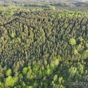 Photo #31 of TBD Horne Town, Polkton, NC