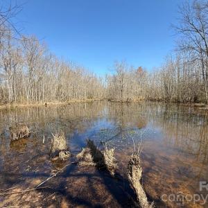 Photo #6 of TBD Horne Town, Polkton, NC